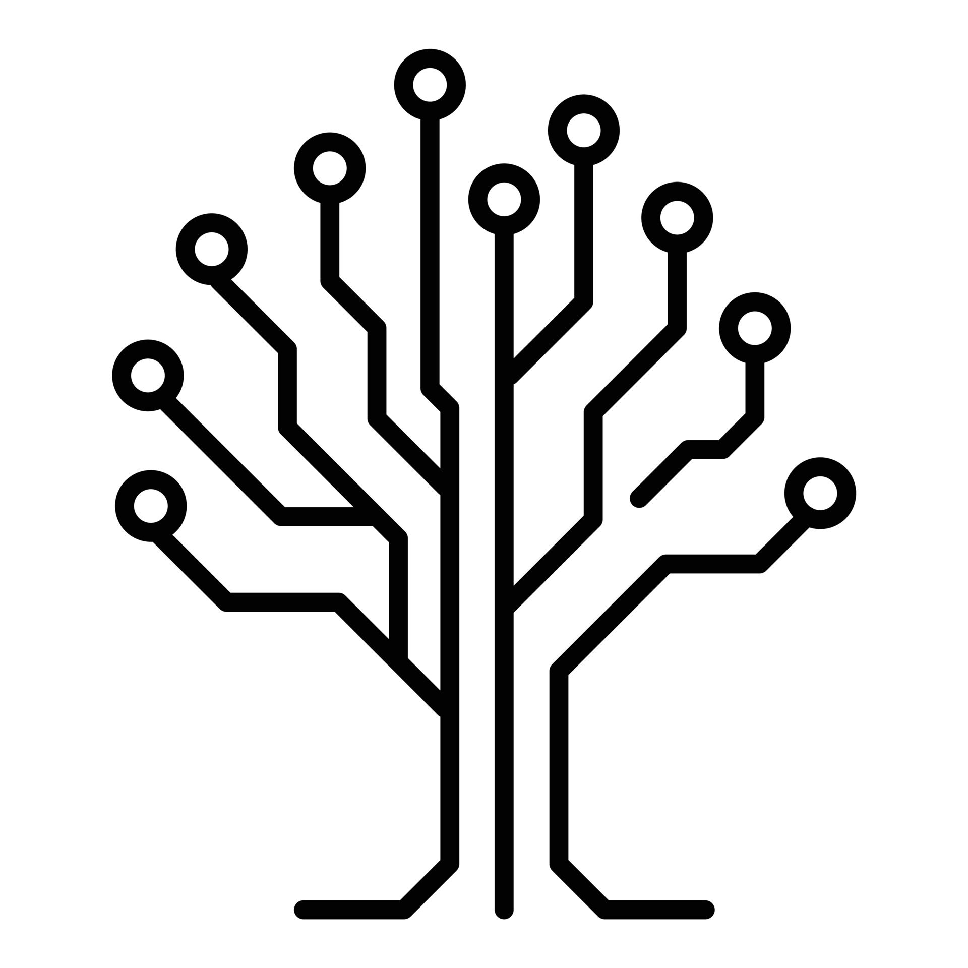 Digital Garden